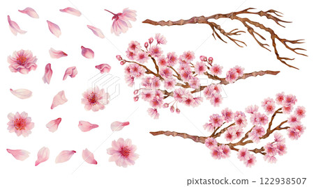 Large set of pink flowers, cherry petals, branches with flowers and bare branches. Realistic watercolor painting of spring blooming sakura flowers for Hanami festival. Shades of pink, lilac, purple. Large set of pink flowers, cherry petals, branches with flowers and bare branches. Realistic watercolor painting of spring blooming sakura flowers for Hanami festival. Shades of pink, lilac, purple. 122938507
