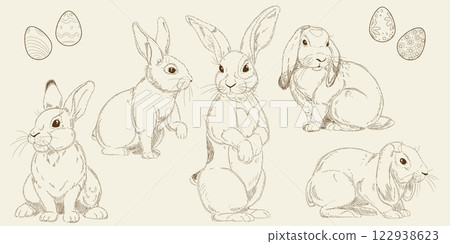 Cute bunny sketch. Vintage hand drawn design. Spring animal art, hare monochrome style. Easter holiday graphic with line detail. Adorable rabbit in different forms. Vector illustration isolated set Cute bunny sketch. Vintage hand drawn design. Spring animal art, hare monochrome style. Easter holiday graphic with line detail. Adorable rabbit in different forms. Vector illustration isolated set 122938623
