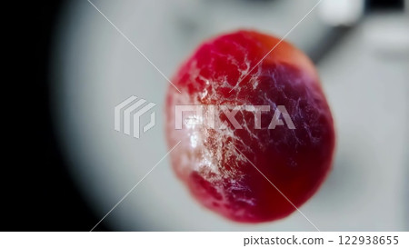 Pulsating red blood cell rotating slowly under microscope 122938655