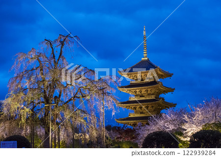 點燈的東寺五重塔 東寺五重塔夜景與櫻花 京都旅遊景點 點燈的東寺五重塔 東寺五重塔夜景與櫻花 京都旅遊景點 122939284