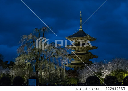 點燈的東寺五重塔 東寺五重塔夜景與櫻花 京都旅遊景點 點燈的東寺五重塔 東寺五重塔夜景與櫻花 京都旅遊景點 122939285