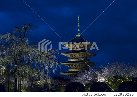 點燈的東寺五重塔 東寺五重塔夜景與櫻花 京都旅遊景點 122939286