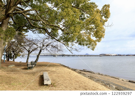 從大津市膳瀨城跡公園眺望的近江大橋和近江富士（三上山） 122939297