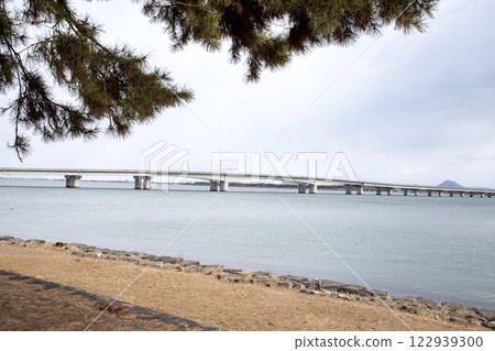 Omi Ohashi Bridge and Omi Fuji (Mount Mikami) as seen from Zeze Castle Ruins Park in Otsu City 122939300