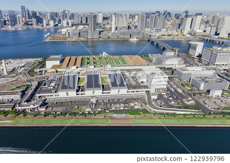 Tokyo aerial photography, drone photography, Toyosu Market Tokyo aerial photography, drone photography, Toyosu Market 122939796