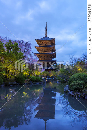 東寺五重塔燈火通明 東寺五重塔夜景與櫻花 京都旅遊景點 東寺夜櫻 122939926