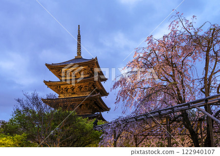 Illuminated five-story pagoda of Toji Temple Night view of Toji Temple's five-story pagoda and cherry blossoms Kyoto tourist attraction Night cherry blossoms at Toji Temple 122940107