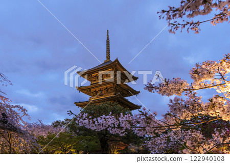 Illuminated five-story pagoda of Toji Temple Night view of Toji Temple's five-story pagoda and cherry blossoms Kyoto tourist attraction Night cherry blossoms at Toji Temple 122940108