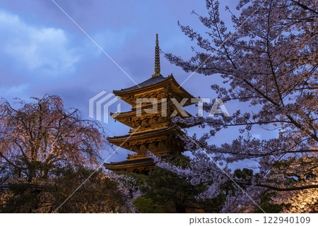 Illuminated five-story pagoda of Toji Temple Night view of Toji Temple's five-story pagoda and cherry blossoms Kyoto tourist attraction Night cherry blossoms at Toji Temple Illuminated five-story pagoda of Toji Temple Night view of Toji Temple's five-story pagoda and cherry blossoms Kyoto tourist attraction Night cherry blossoms at Toji Temple 122940109