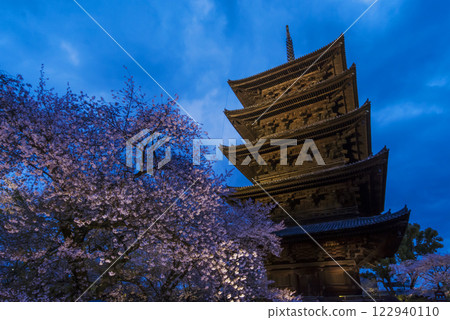 Illuminated five-story pagoda of Toji Temple Night view of Toji Temple's five-story pagoda and cherry blossoms Kyoto tourist attraction Night cherry blossoms at Toji Temple Illuminated five-story pagoda of Toji Temple Night view of Toji Temple's five-story pagoda and cherry blossoms Kyoto tourist attraction Night cherry blossoms at Toji Temple 122940110