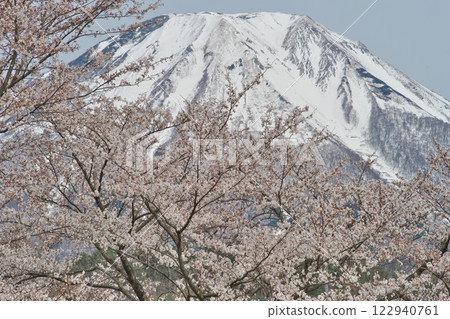 Cherry blossoms and remaining snow on Mt. Daisen (Hoki Town, Saihaku District, Tottori Prefecture) Cherry blossoms and remaining snow on Mt. Daisen (Hoki Town, Saihaku District, Tottori Prefecture) 122940761