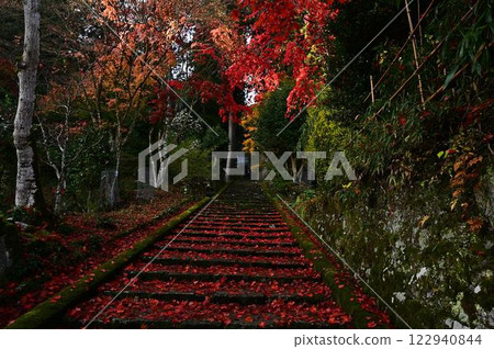 Joshoji temple in autumn 122940844