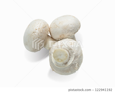 Fresh champignon mushrooms isolated on white background.  122941192