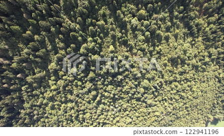 Forest Aerial Forest Aerial 122941196