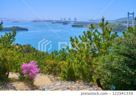 A view of blooming azaleas from near the first observation deck of Mt. Washuu in Kurashiki, Okayama Prefecture (including the Shimotsui Seto Bridge and Hitsuishijima Bridge) A view of blooming azaleas from near the first observation deck of Mt. Washuu in Kurashiki, Okayama Prefecture (including the Shimotsui Seto Bridge and Hitsuishijima Bridge) 122941339