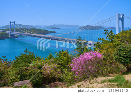 A view of blooming azaleas from near the first observation deck of Mt. Washuu in Kurashiki, Okayama Prefecture (Shimotsui Seto Bridge, Hitsuishi Island, etc.) 122941340