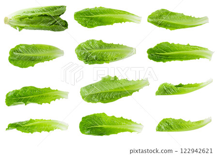 Cos Lettuce Isolated on a white background 122942621