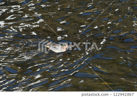 Teal Kashio River Teal Kashio River 122942867