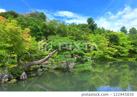 [Kyoto Prefecture] The lush Sogenchi pond garden at Tenryu-ji Temple 122943830