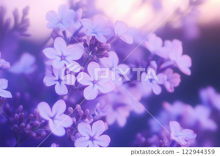 Close-Up of Lilac Flowers in Bloom with Soft Focus and Cinematic Lighting 122944359