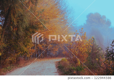 Dirt country road in the early misty morning. Rural landscape Dirt country road in the early misty morning. Rural landscape 122944386