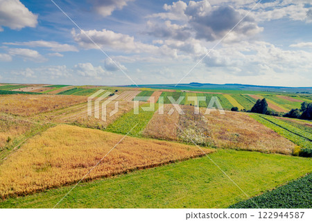 Aerial view of a field of cultivated soybeans and wheat on the hills in summer. Rural landscape 122944587
