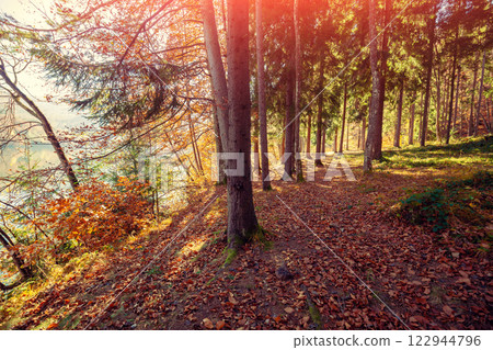 Shore of a mountain lake in autumn at sunrise 122944796
