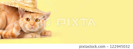 Cute red kitten wearing a straw hat. Summertime concept. Horizontal banner Cute red kitten wearing a straw hat. Summertime concept. Horizontal banner 122945032