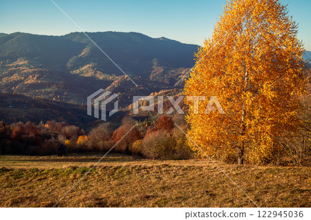 Mountain landscape in the early autumn morning. Beautiful nature landscape. Carpathian mountains. Ukraine Mountain landscape in the early autumn morning. Beautiful nature landscape. Carpathian mountains. Ukraine 122945036