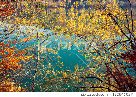 Trees with colorful leaves around lake in autumn. Tree without leaves near lake. Lake Synevyr in Carpathian Mountains of Ukraine. Synevyr Poliana National Park in Zakarpattia Oblast. Ukraine, Europe Trees with colorful leaves around lake in autumn. Tree without leaves near lake. Lake Synevyr in Carpathian Mountains of Ukraine. Synevyr Poliana National Park in Zakarpattia Oblast. Ukraine, Europe 122945037
