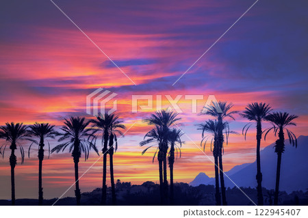 A row of tropical palm trees against a dramatic sunset sky. Gradient color. Silhouette of tall palm trees. Tropical evening landscape. Beautiful tropical nature 122945407
