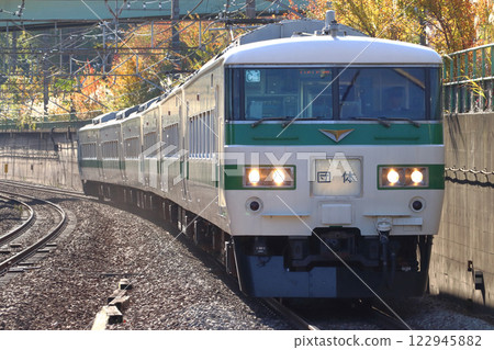 School trip train on the Musashino Line: Special consolidation: 185 series Omiya car 122945882