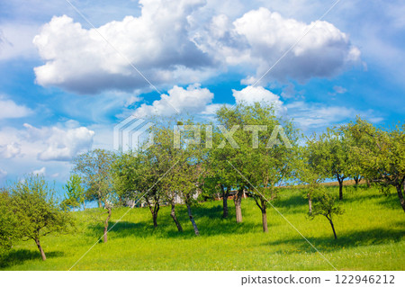 Beautiful rural landscape with green trees and blue cloudy sky in spring. Mountain landscape 122946212