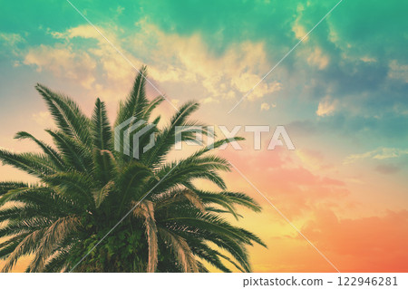 Palm trees against the sunset sky. Pink-yellow color gradient. Beautiful tropical evening nature 122946281