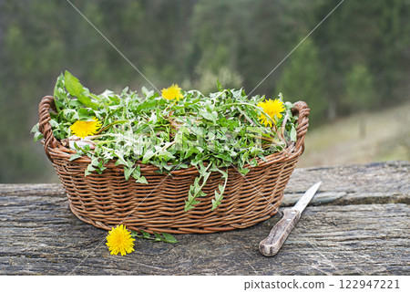 Dandelion 122947221