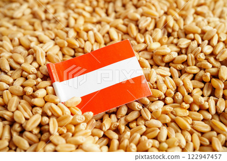Austria flag on grain wheat, trade export and economy. 122947457