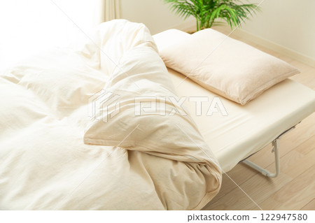 Bedroom futon, bed, mattress and pillow 122947580