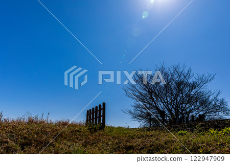 靜岡縣掛川市畑多摩天龍濱名湖鐵道及沿線風景 122947909