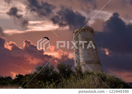 Phare des baleines, whale lighthouse,  ile de Re island, france 122948390