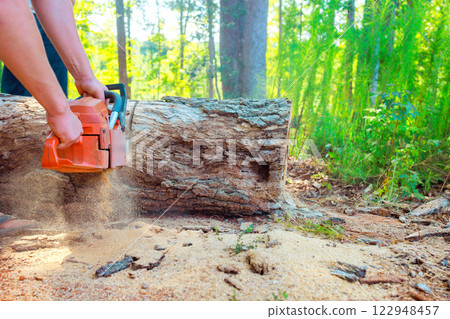 Lumberer uses chainsaw to cut through large fallen log in sunny forest, with wood shavings flying. 122948457