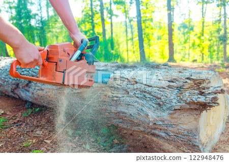 Worker uses chainsaw to cut log in sunlit forest, with dust flying, greenery all around. 122948476