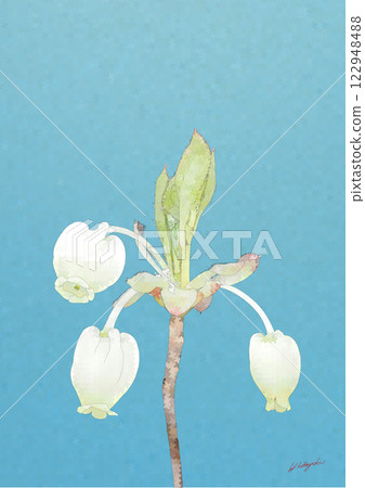 新鮮的綠色dumanthushi 122948488