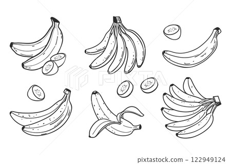 Banana set. Bananas, half peeled and slice banana, bunch of bananas. Exotic sweet desserts. Hand drawn illustration in sketch style. 122949124