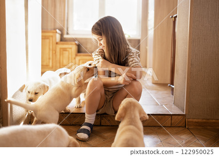 A little girl is sitting on the steps in a room and petting the labrador puppies. A cute child is having fun with dogs at home. 122950025