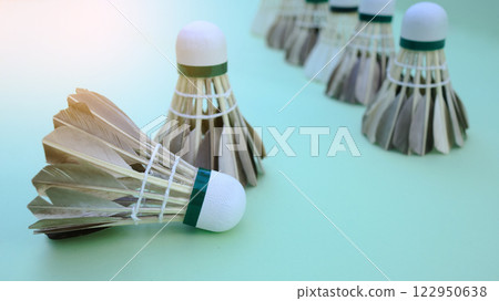 A dark colored shuttlecock resting on a light green surface, with a soft focus background creating depth. 122950638