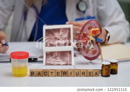 A Comprehensive Medical Analysis of Bacteriuria Utilizing a Kidney Model and Laboratory Samples A Comprehensive Medical Analysis of Bacteriuria Utilizing a Kidney Model and Laboratory Samples 122951310