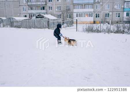 Corgi playing with a child in the snow. High quality photo 122951386