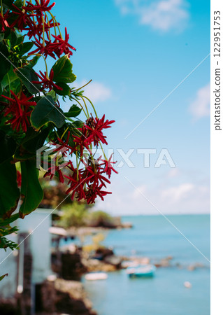 Vung Tau Beach with Blue Sky Flowers and Mother Mary Statue Scenic Coastal View with Coffee Shop Nearby High quality photo Vung Tau Beach with Blue Sky Flowers and Mother Mary Statue Scenic Coastal View with Coffee Shop Nearby High quality photo 122951753