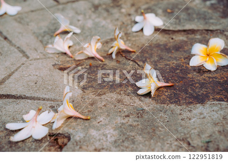 Vung Tau Beach with Blue Sky Flowers and Mother Mary Statue Scenic Coastal View with Coffee Shop Nearby High quality photo Vung Tau Beach with Blue Sky Flowers and Mother Mary Statue Scenic Coastal View with Coffee Shop Nearby High quality photo 122951819