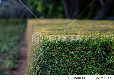 Park Ramat Hanadiv, Memorial Gardens of Baron Edmond de Rothschild, Zichron Yaakov, Israel. High quality photo Park Ramat Hanadiv, Memorial Gardens of Baron Edmond de Rothschild, Zichron Yaakov, Israel. High quality photo 122951937